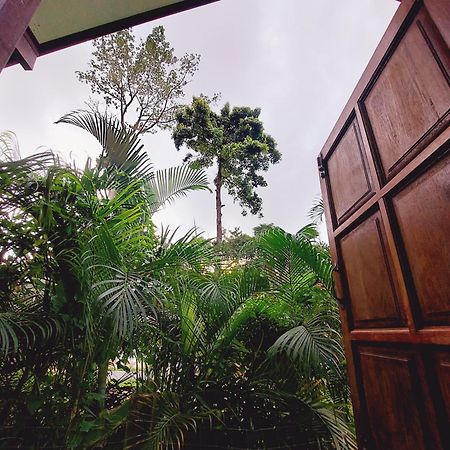 Papaya Cottage Κο Τσανγκ Δωμάτιο φωτογραφία