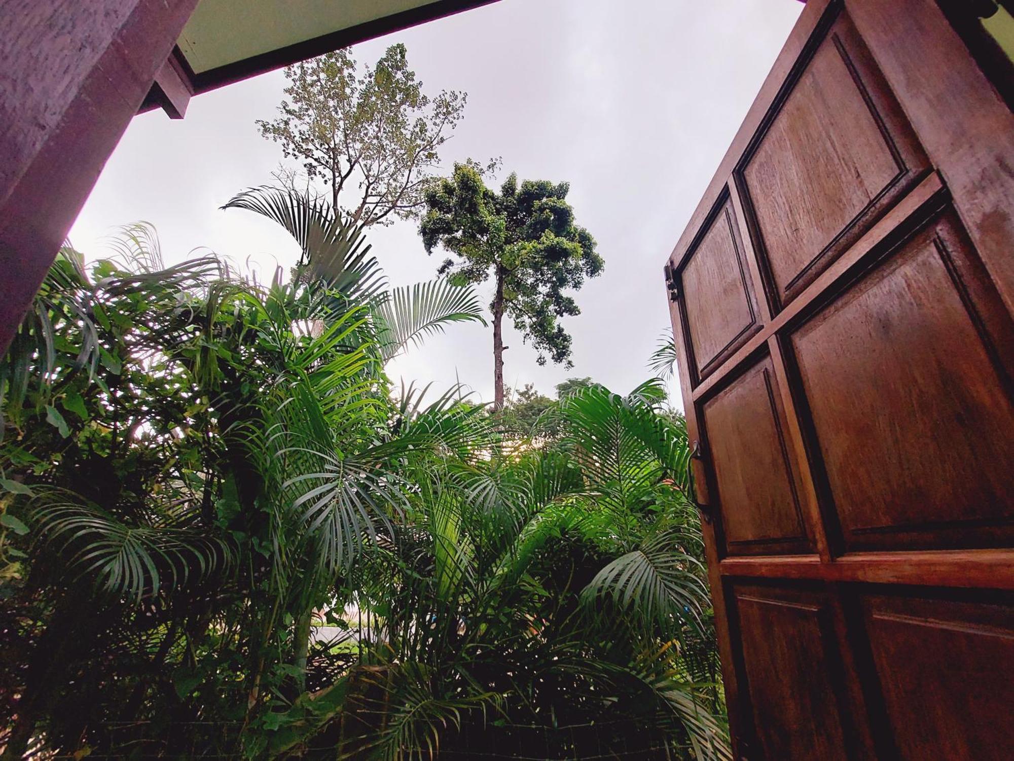 Papaya Cottage Κο Τσανγκ Δωμάτιο φωτογραφία